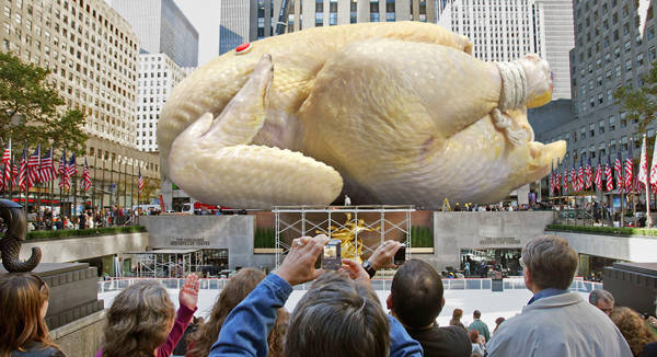 We're gonna need a bigger turkey!